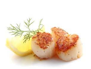 Scallops