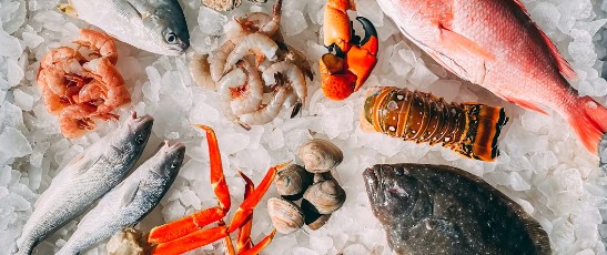 Seafood assortment