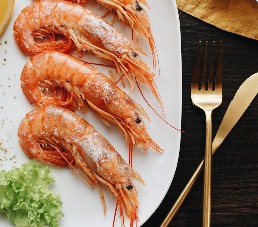 Shrimp